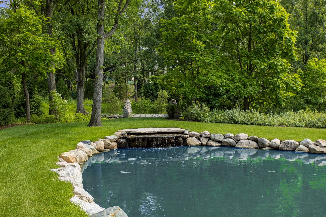 Pond Renovation