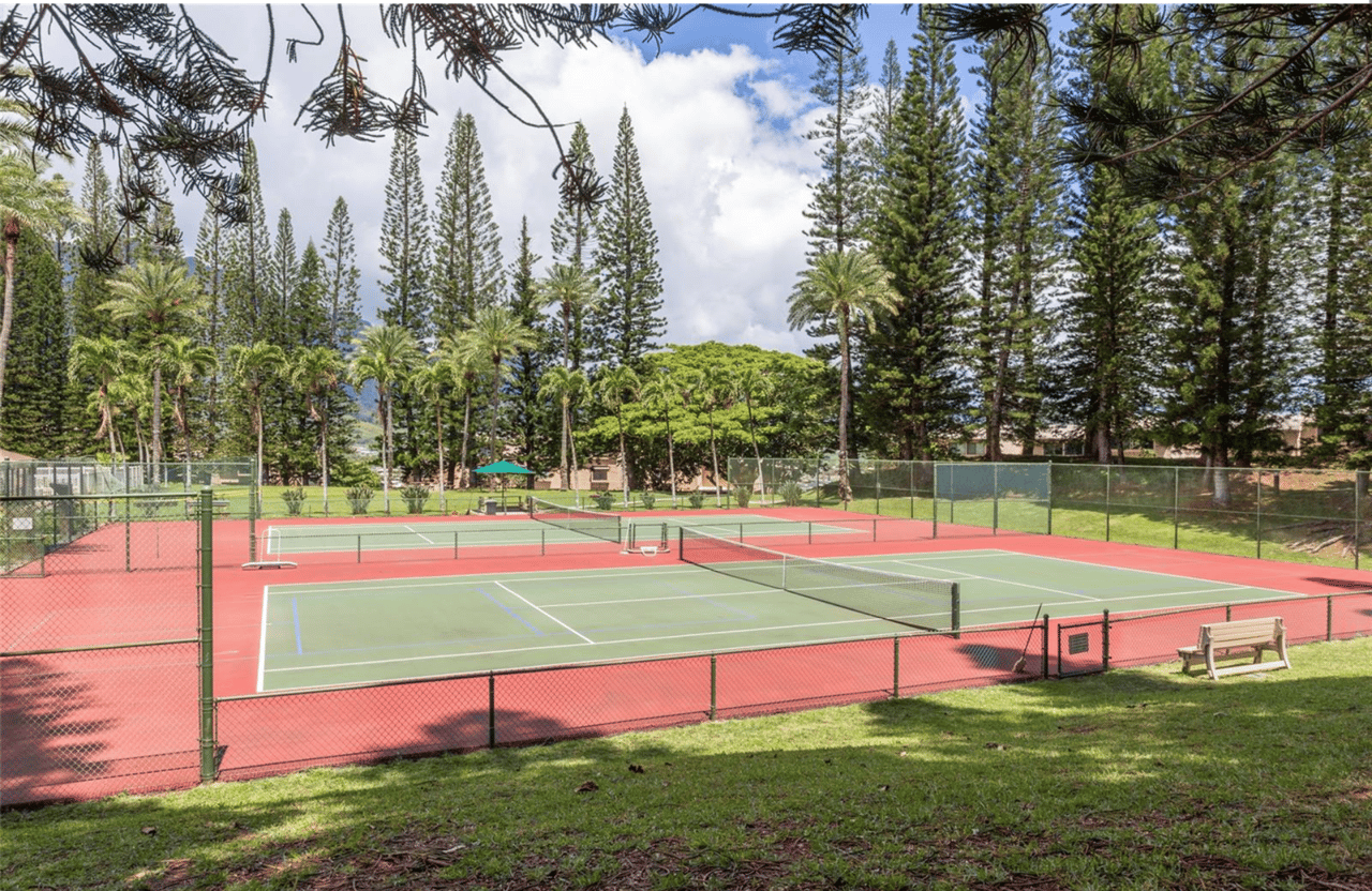 Puu Ali'i | Kaneohe 