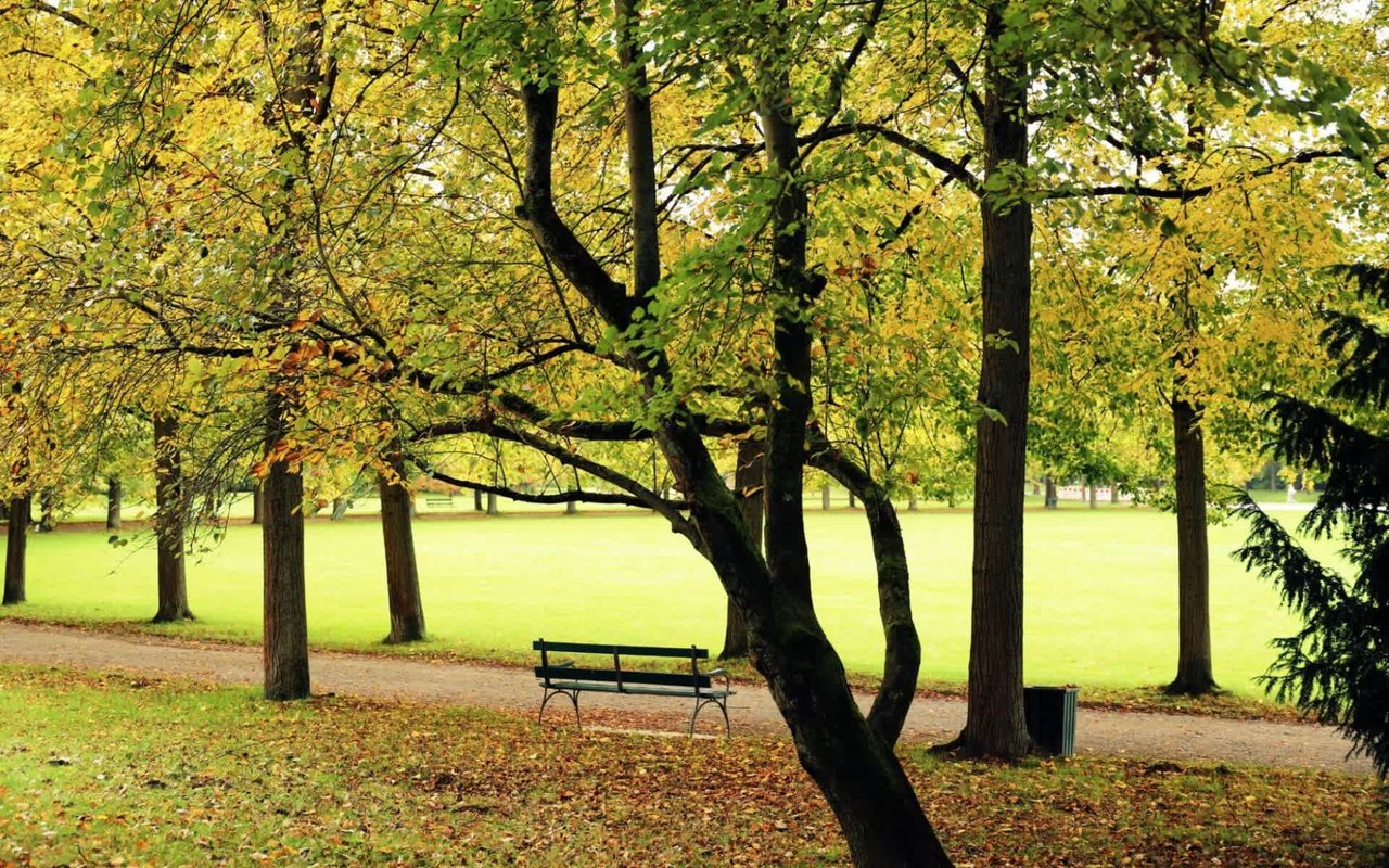 A Guide to Leawood and Overland Park, KS Parks