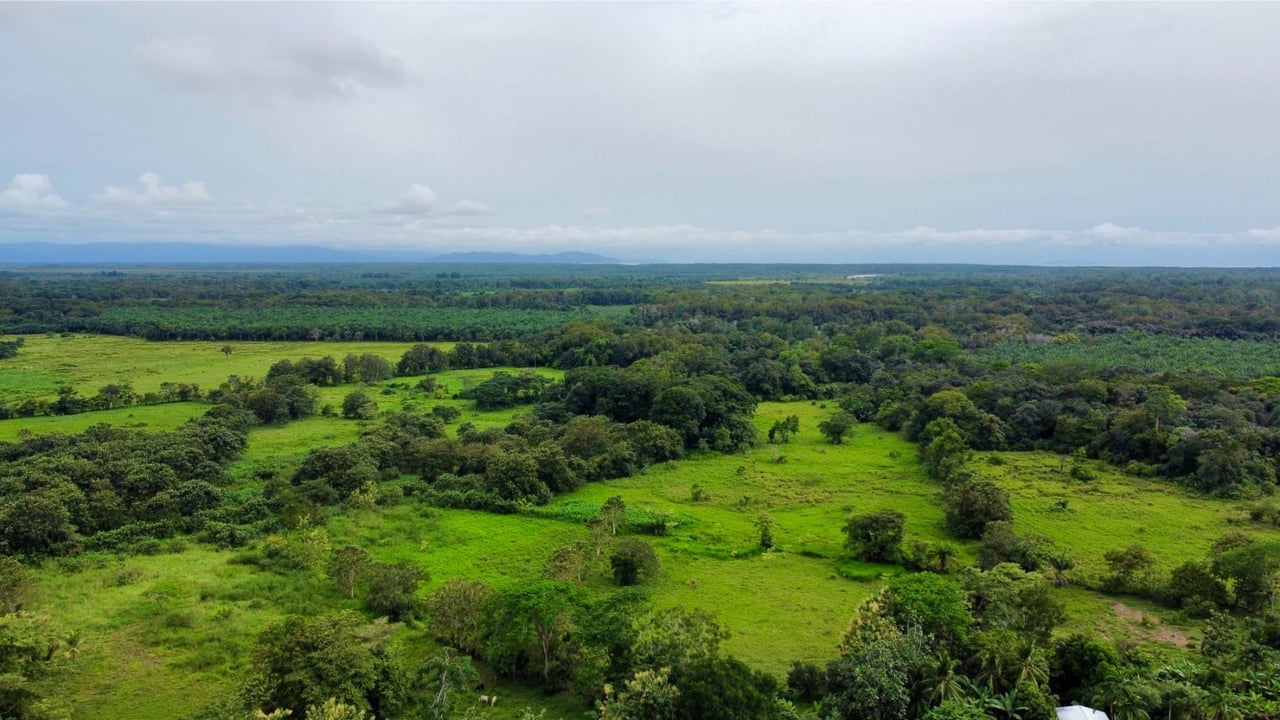Flat Commercial Development Lot, Osa, Puntarenas