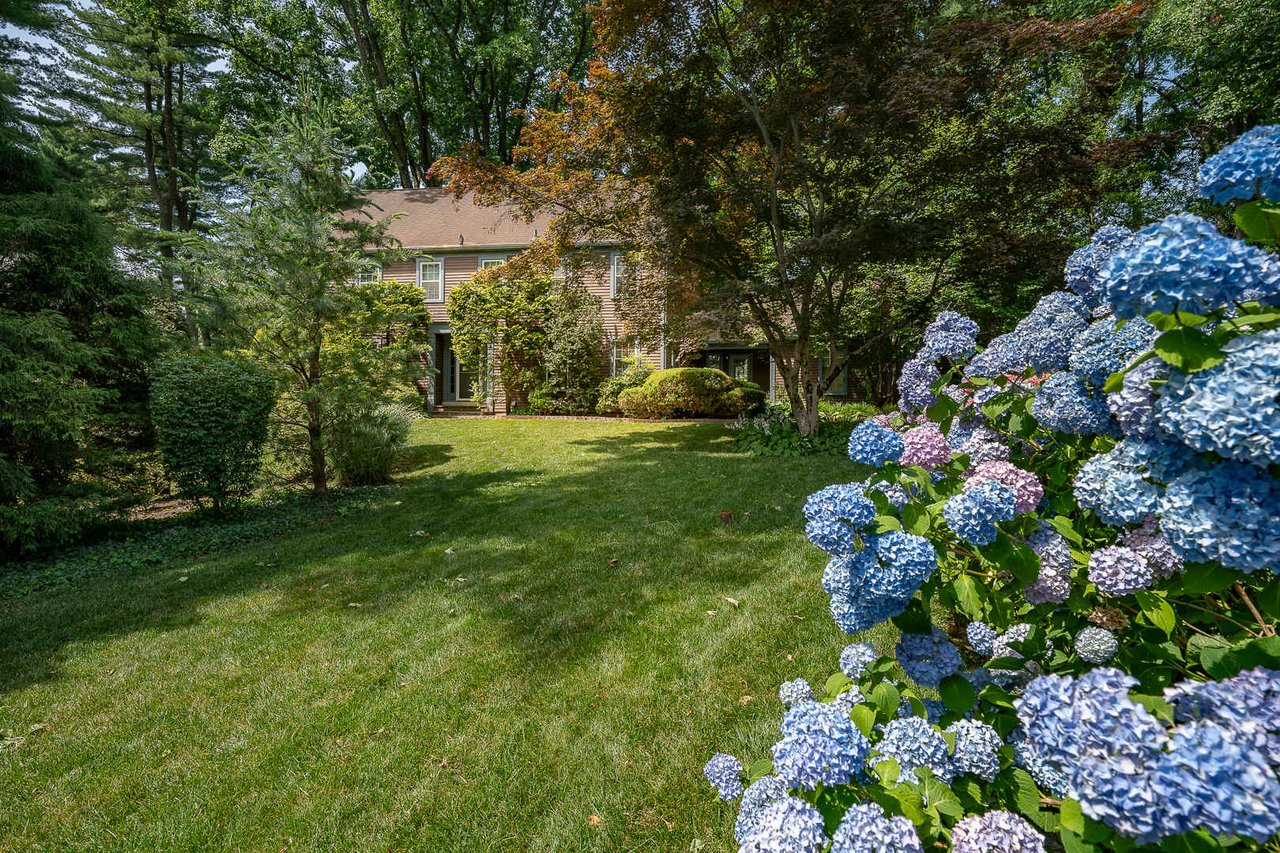 Radnor Gem!