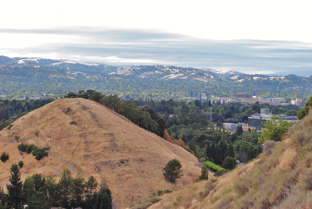 A scenic view of rolling hills with patches of green and brown, dotted with trees