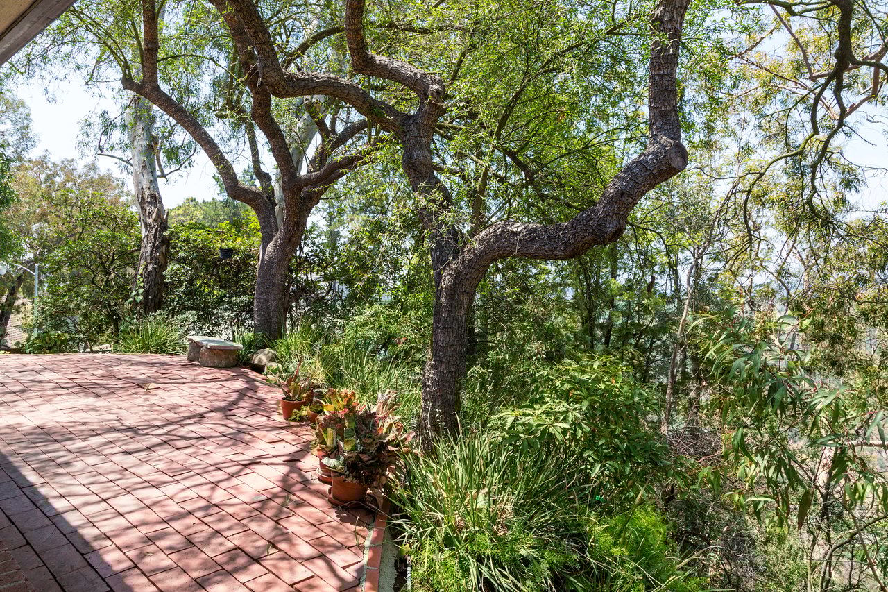 Enchanting Cottage in Lower Bel Air