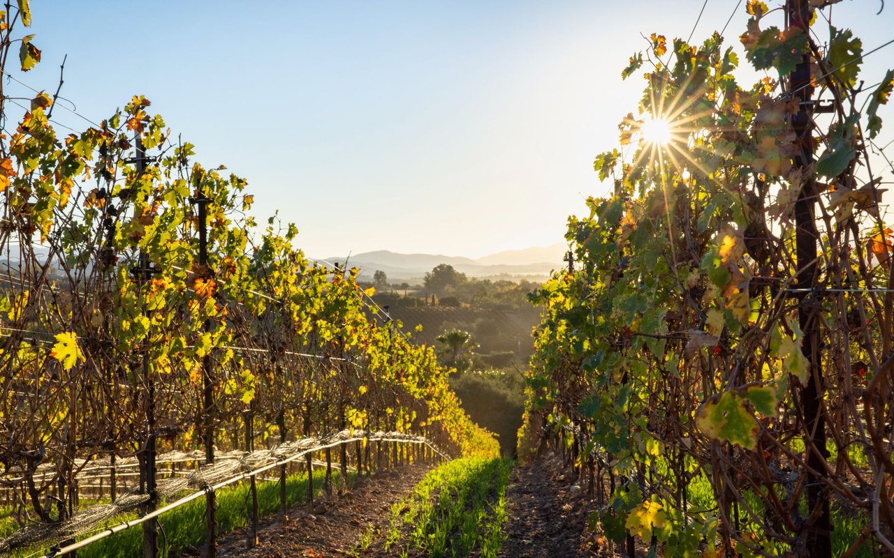 Travel & Leisure Names Santa Ynez Valley One of the 50 Best Places to Travel in 2022