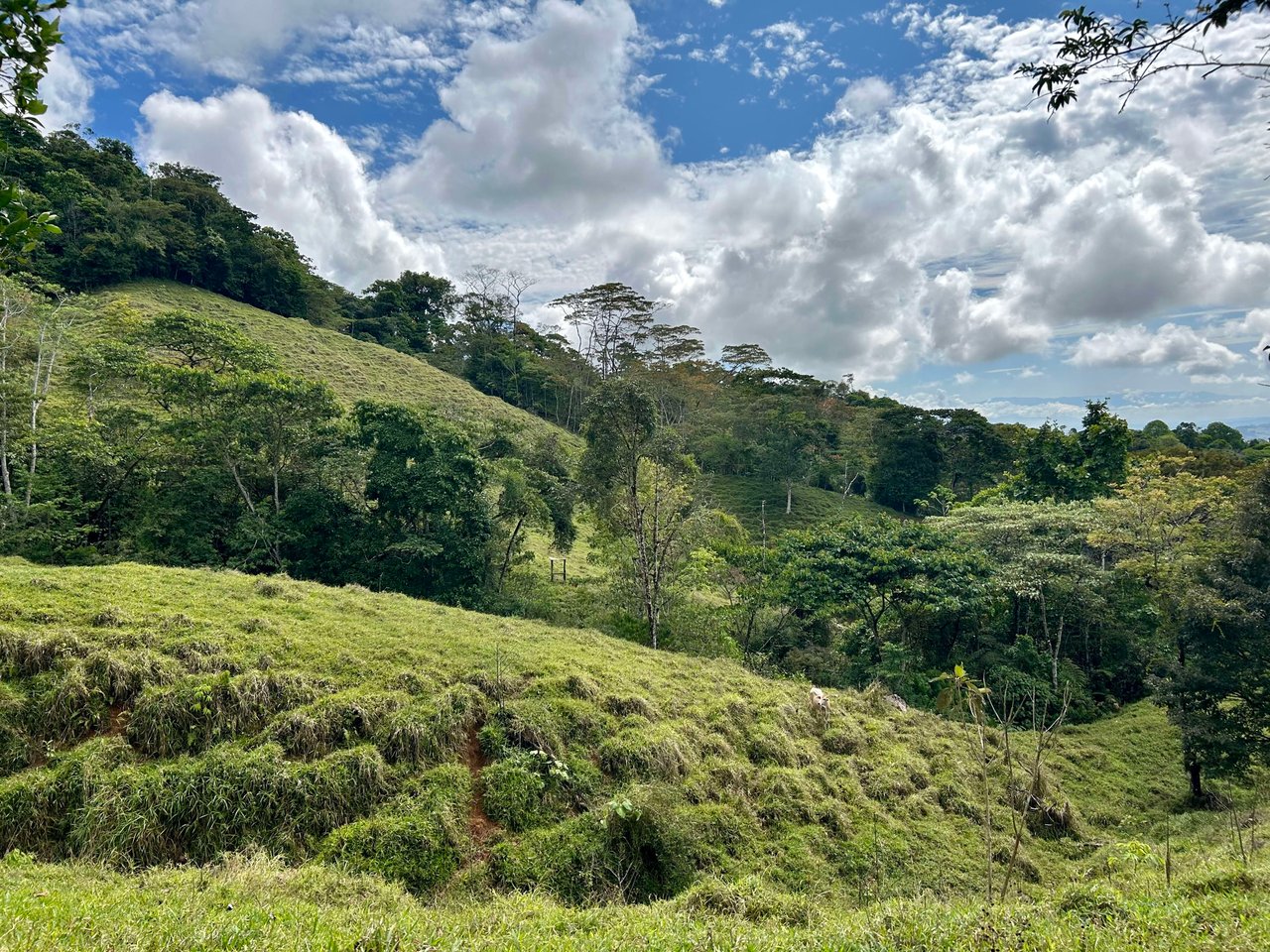 Hidden Gem: Serene Farm Retreat with Majestic Views in Costa Rica
