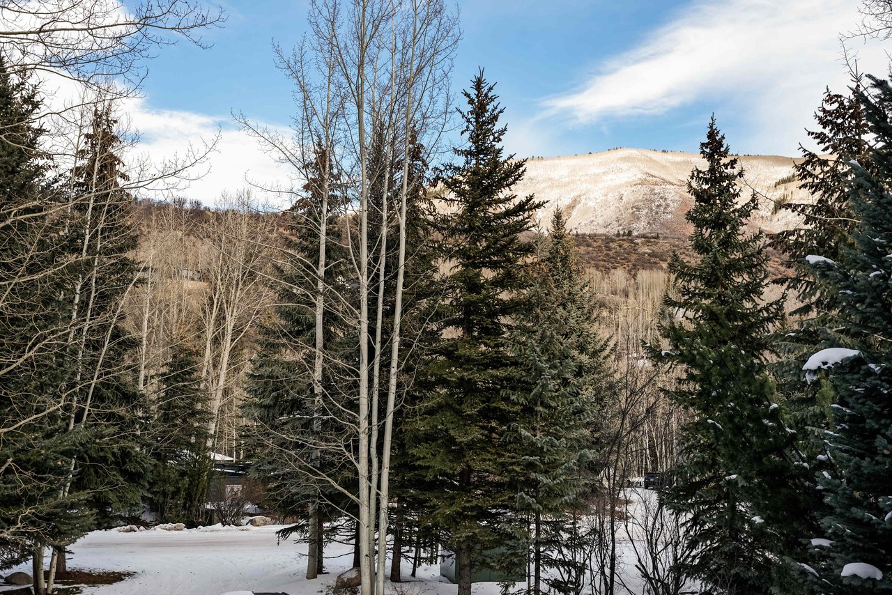 Peaceful One-Bedroom Guest House in Aspen!