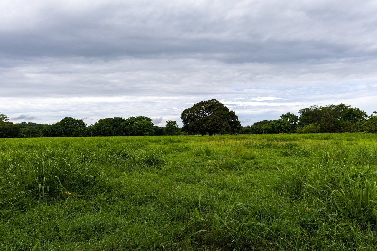 Expansive Fertile Mountain Ranch, Flamingo, Guanacaste