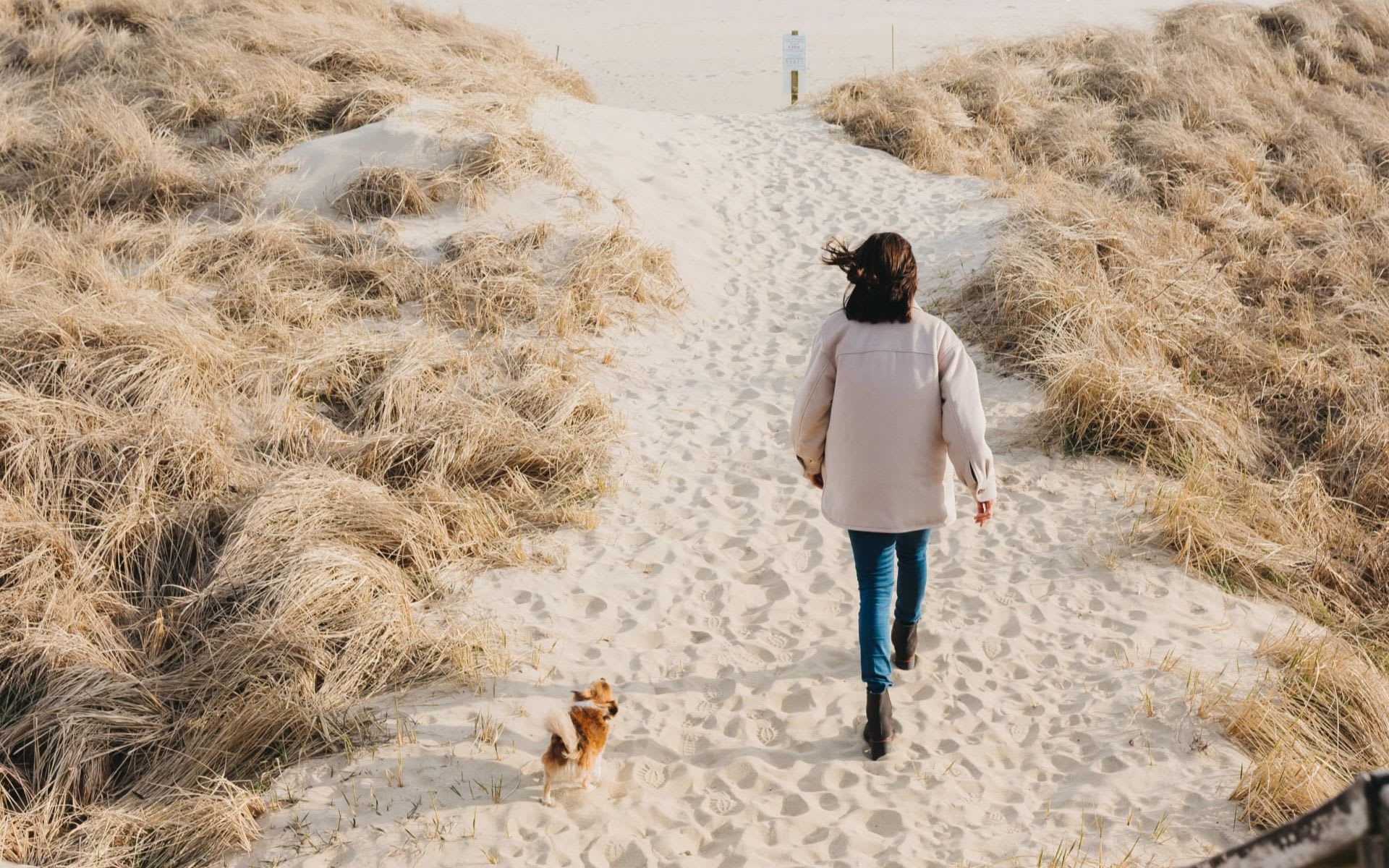 Tips for a Pet-Friendly Vacation on Nantucket
