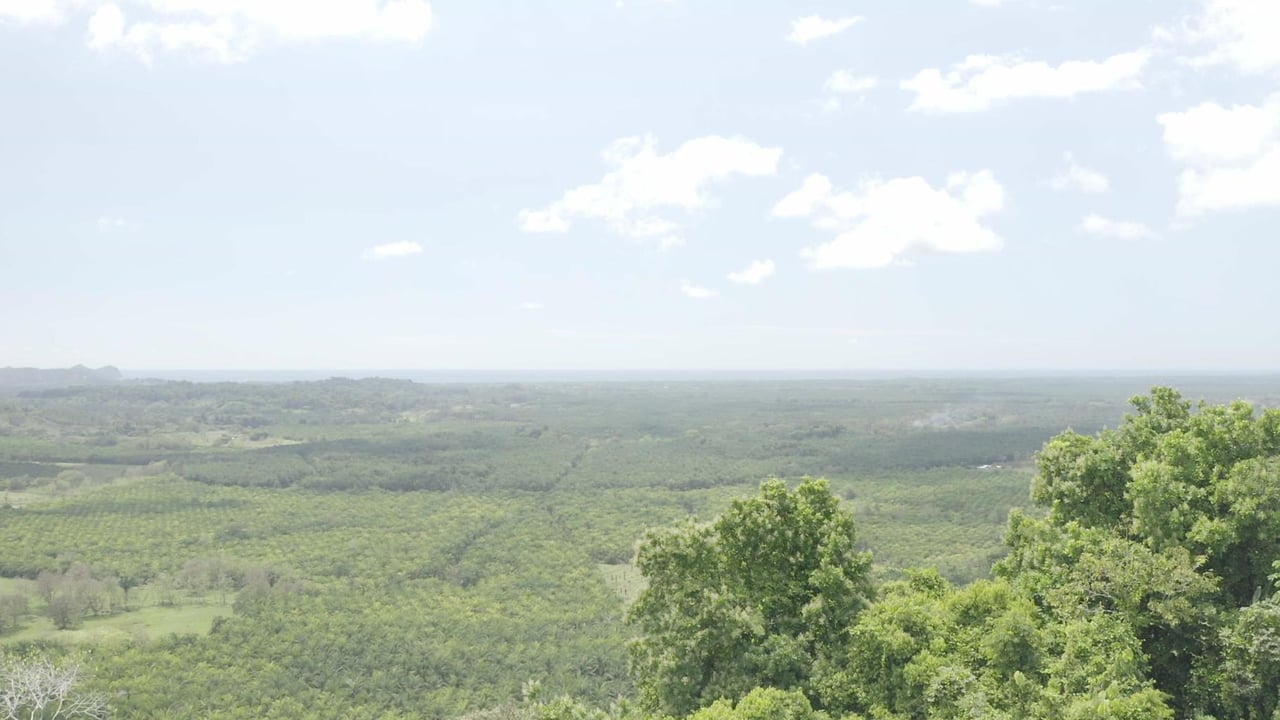 Prime 286-Acre Ocean View Property for Sale Near Quepos, Costa Rica – Ideal for Development
