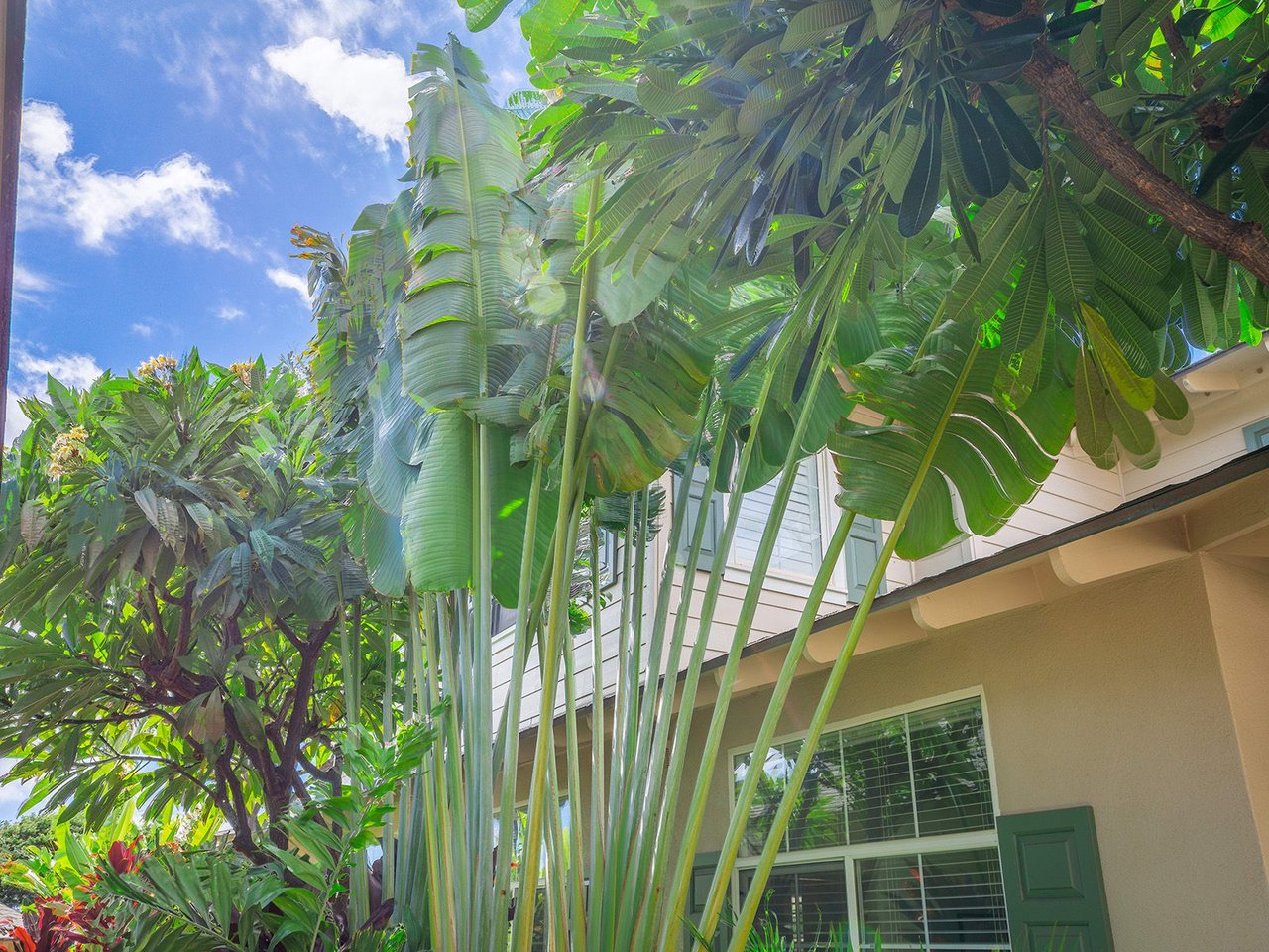 92-1001 Aliinui Dr #6D