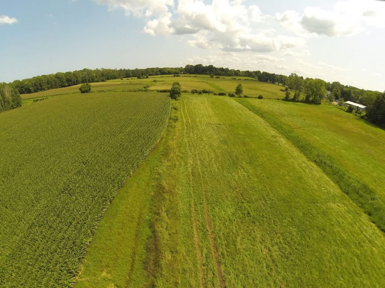 Cattle & Equine Farm