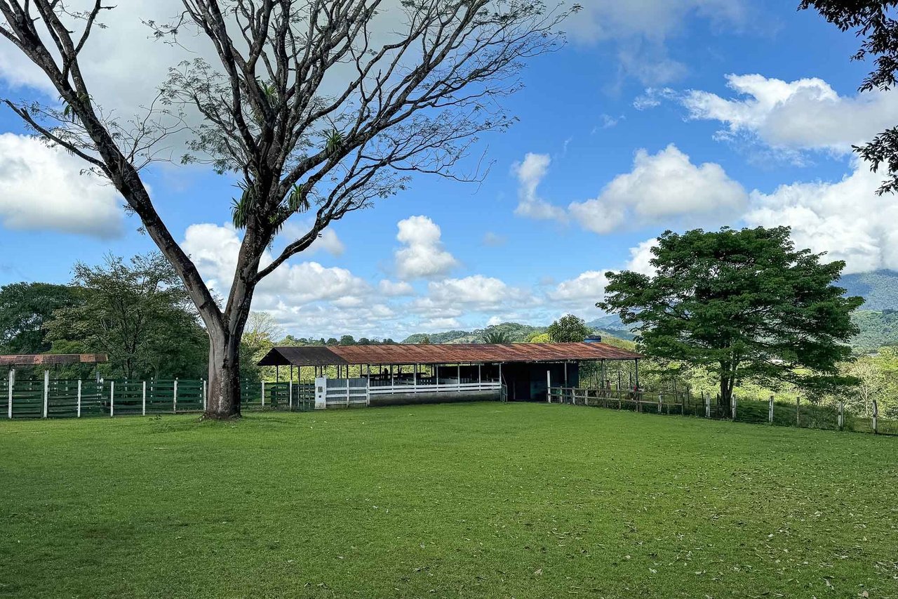 Mountain View Equestrian Ranch, Manuel Antonio, Puntarenas