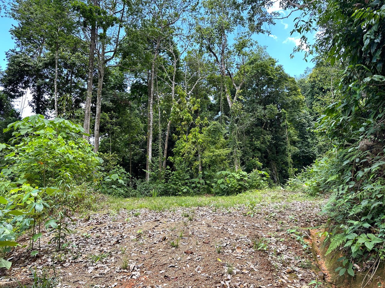 5.77 Acres With 4 Building Sites. Ocean Views, Rivers And Rainforest Abound In Cinco Ventanas! Ojochal 