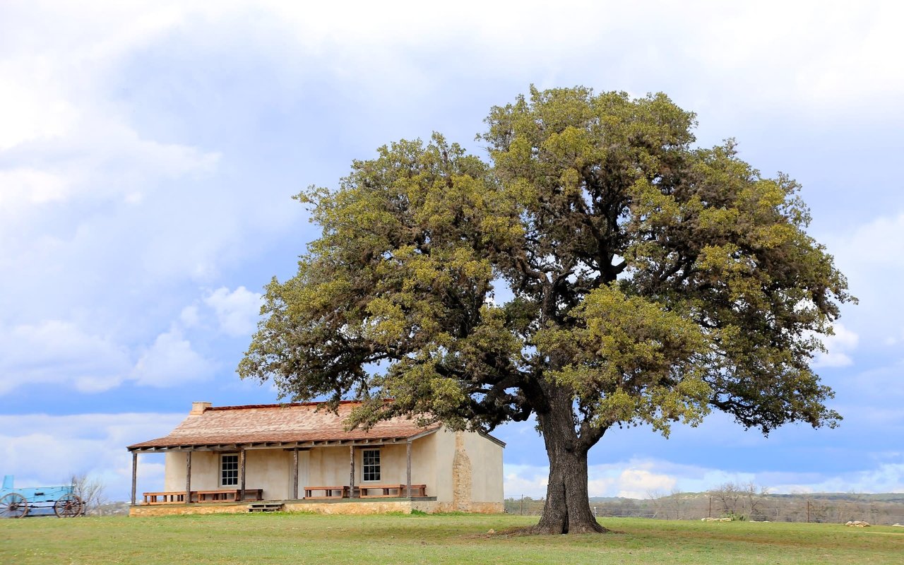 Farm & Ranch 