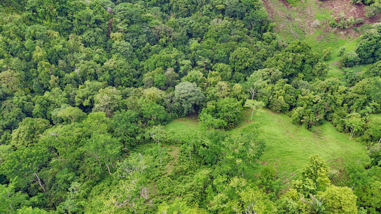 177 acre Ocean view property with multiple plantels, unspoiled mountain, jungle, river and waterfall areas