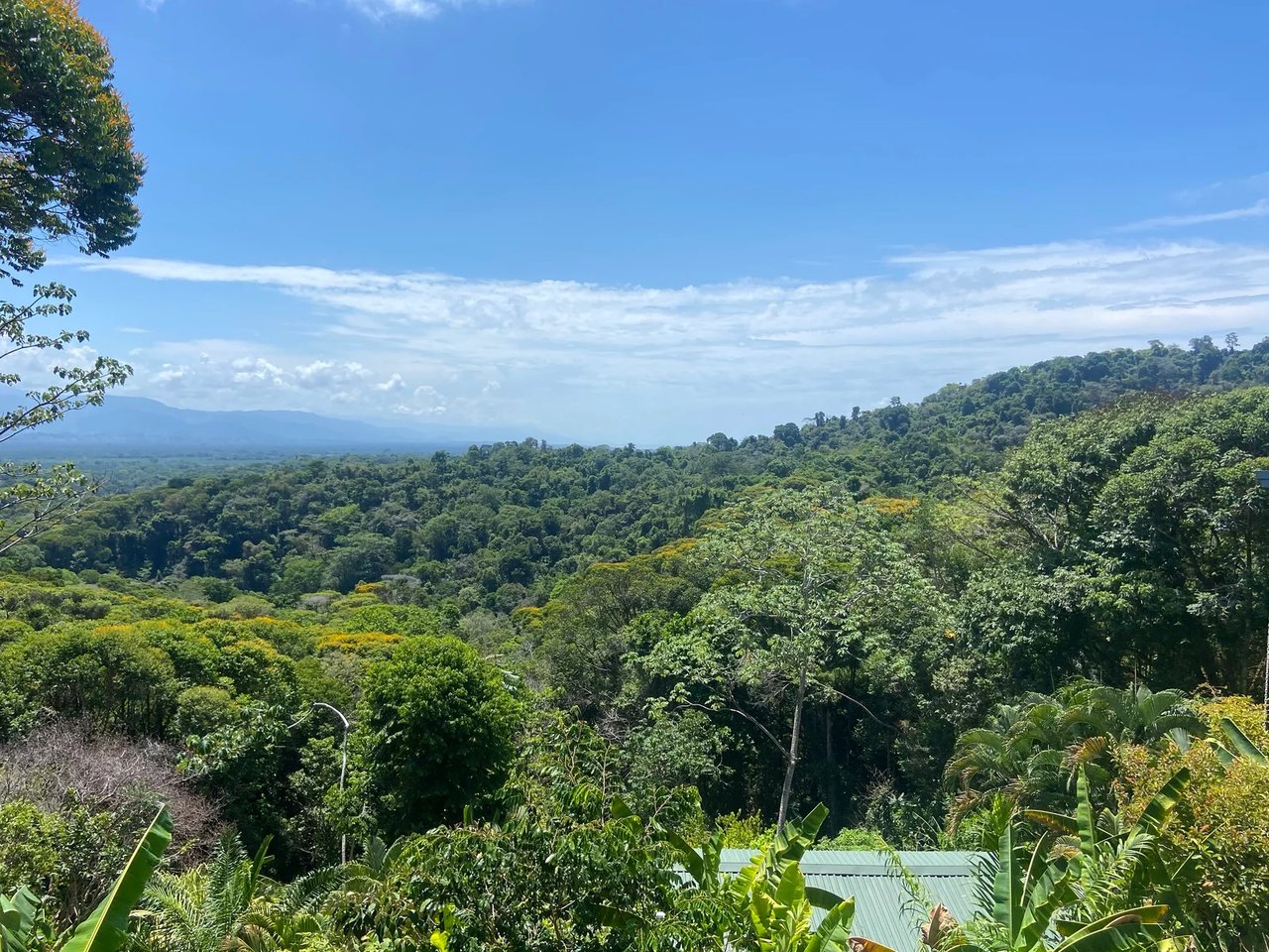 Gated Multi Unit Rental Estate, Manuel Antonio, Puntarenas