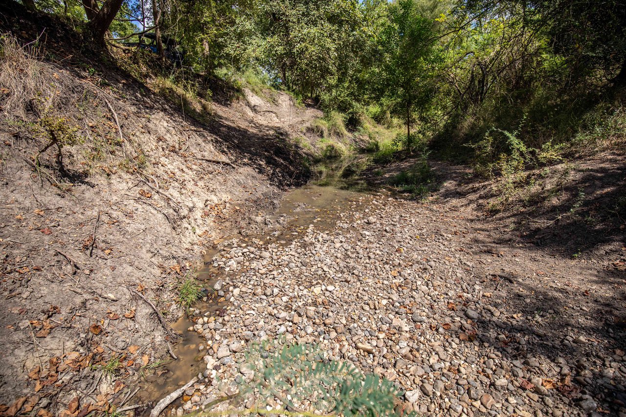 Lovers Lane River Ranch | 140± Acres | DeWitt County