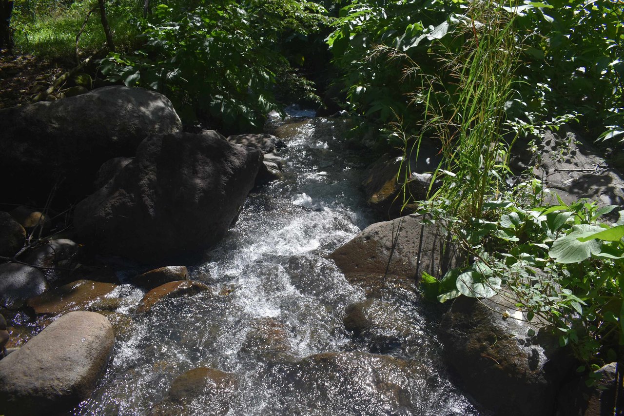 Rio Chiquito Farm | This farm offers an expansive canvas to bring your dreams to life in the majestic Guanacaste mountain rainforest region.