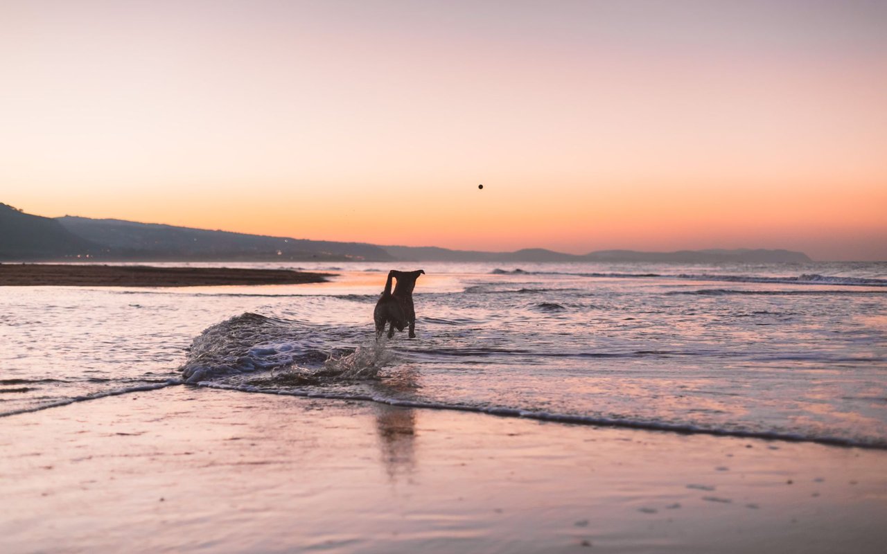 Del Mar