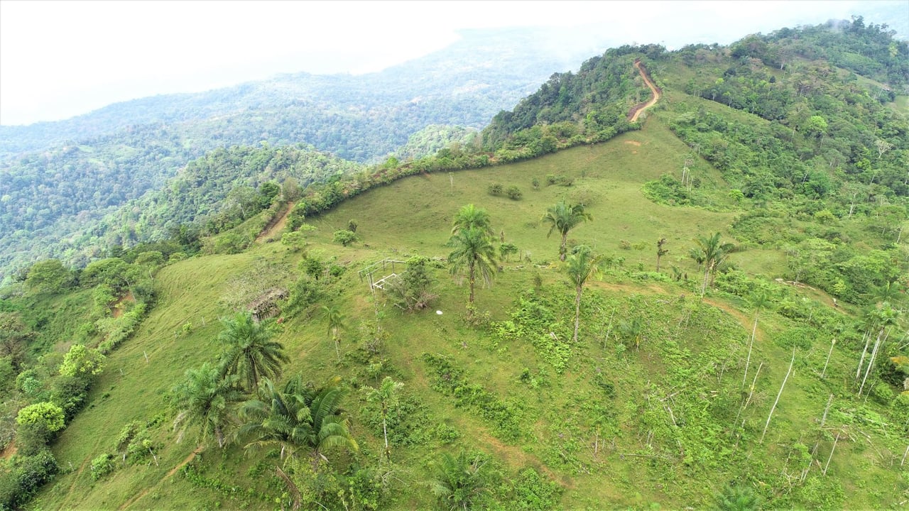 Ocean View Development Farms, Uvita, Puntarenas