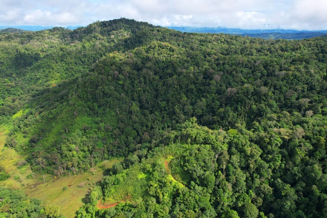 Ocean View Rainforest Acreage, Osa, Puntarenas