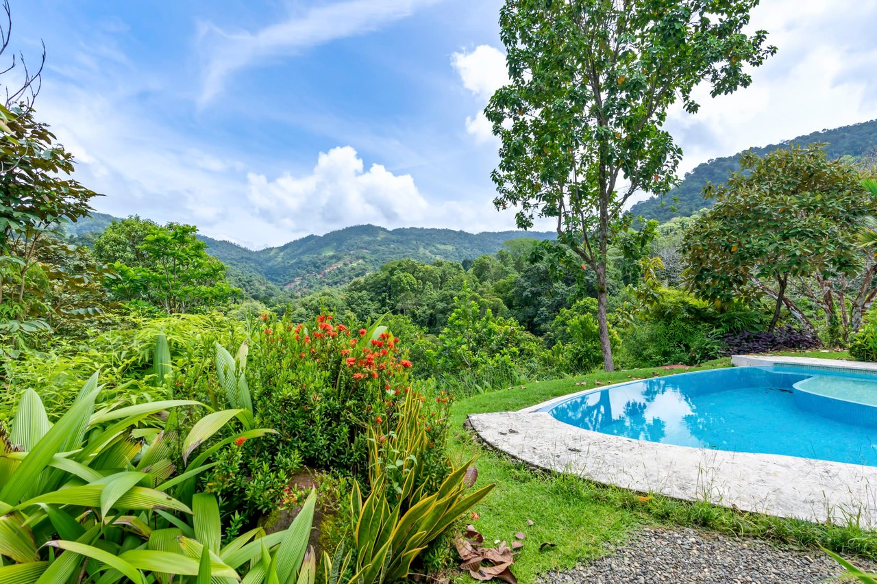 Casa Loro Verde,  Rainforest Jungle Retreat Home on 5.24 Acres in Portalon!