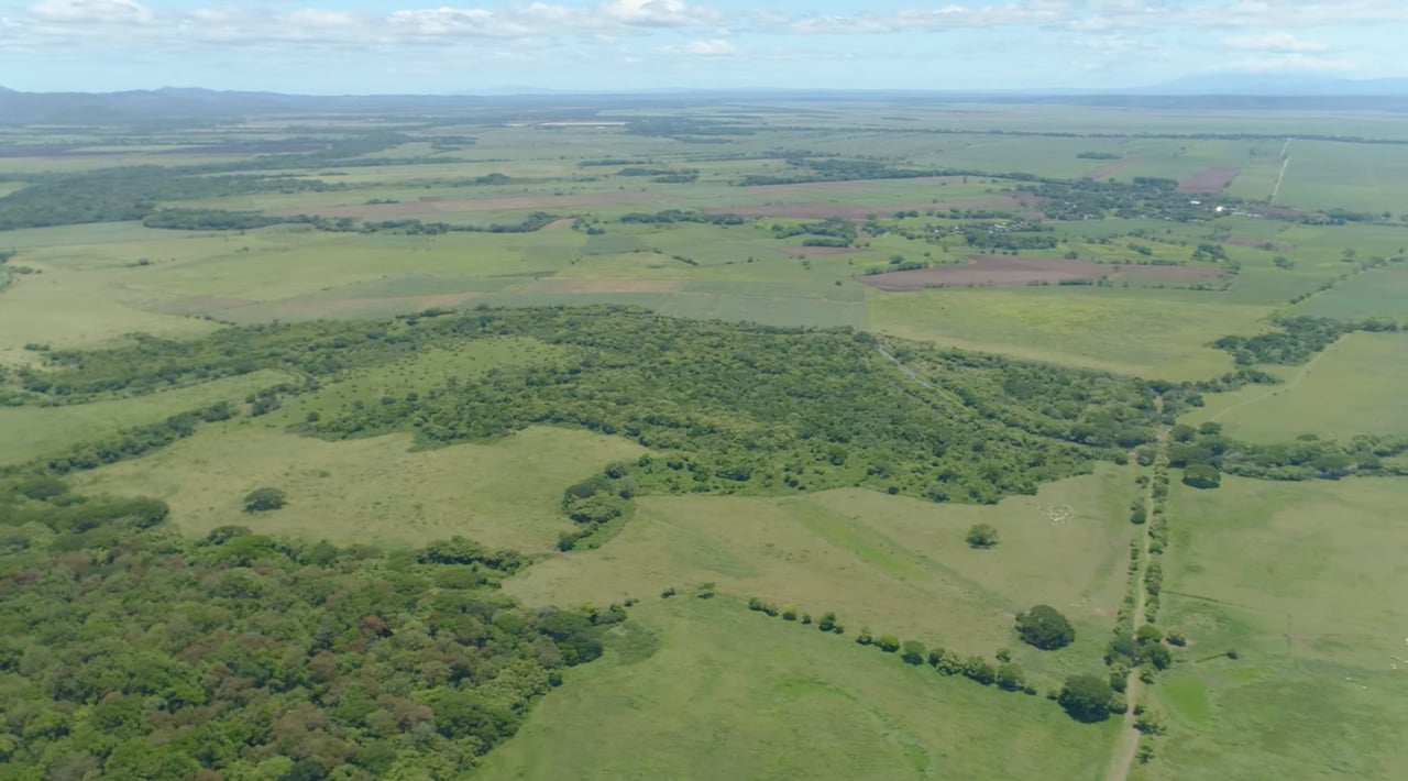 Strategic Cattle Ranch Development, Tamarindo, Guanacaste