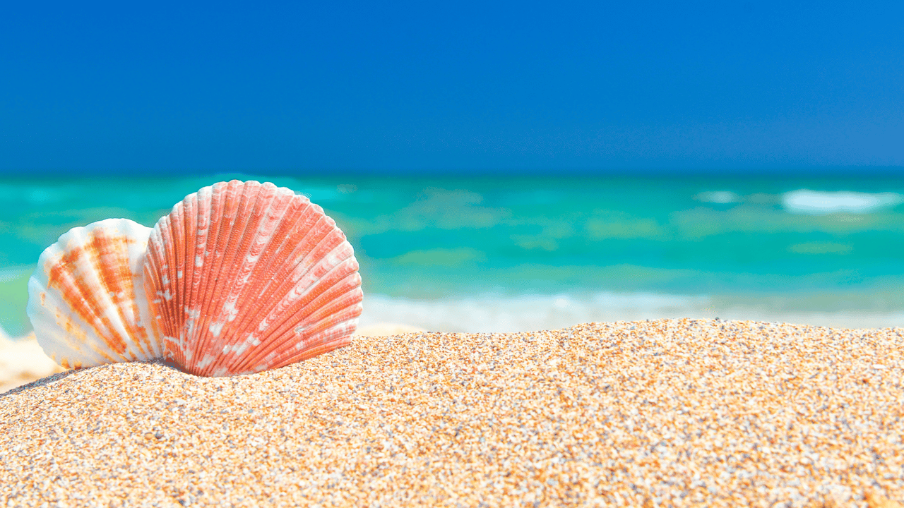 Escape to paradise and soak up the sun with these top summer activities in Aruba