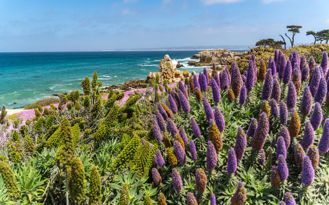 Pacific Grove