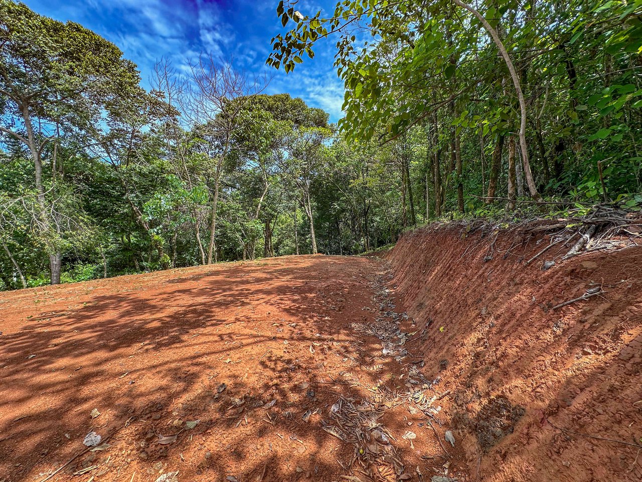 A jungle – and – creek border 1. 6 acre lot in a secure gated community, prepared and ready for your dream home!. 