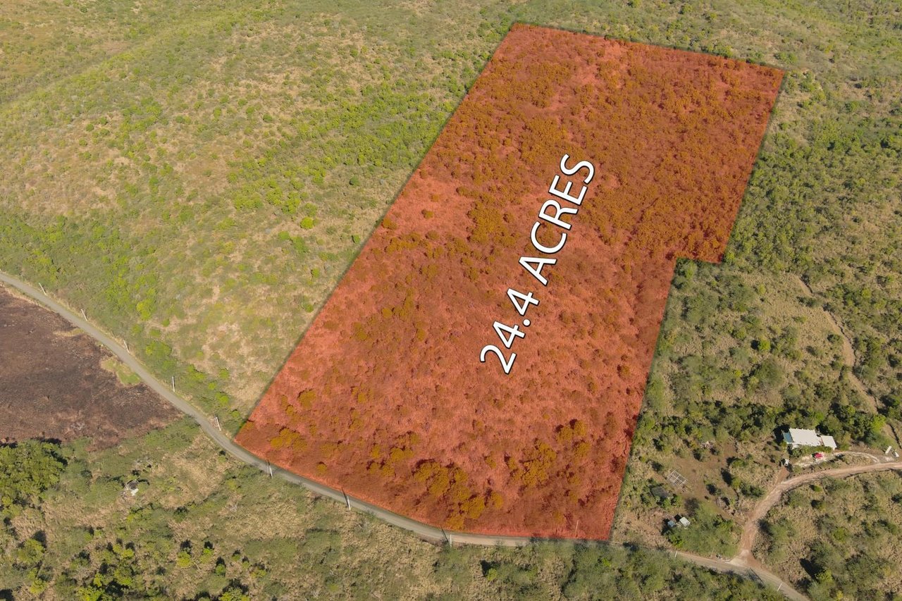 SOLD!!!!!!CULEBRA BETTER THAN EVER, #00