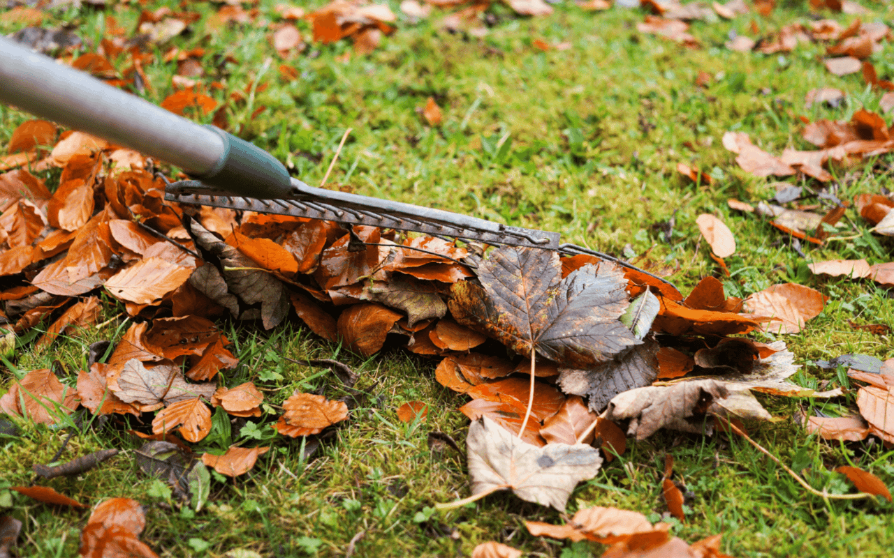 9 Essential Fall Lawn Maintenance Tips for a Beautiful Yard