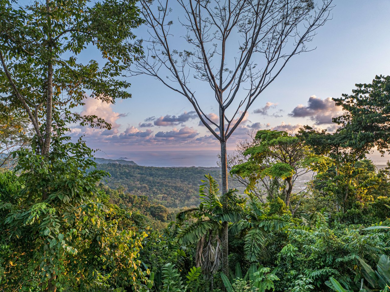 Dramatic Whale's Tail Ocean View 2 Bedroom Home Plus Guest House in Uvita!!
