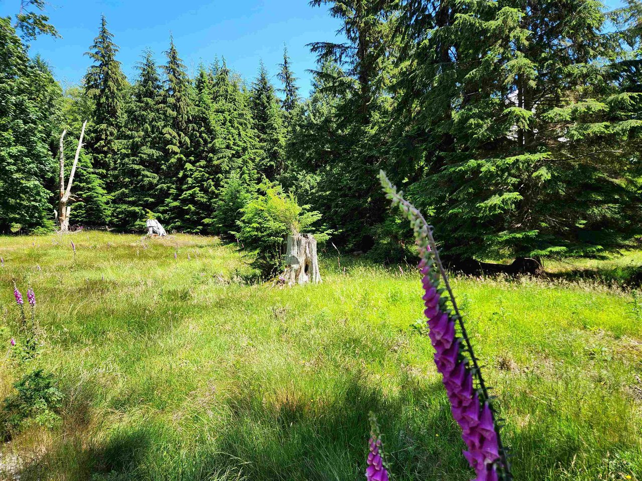 LOT 4 Brigade Bay