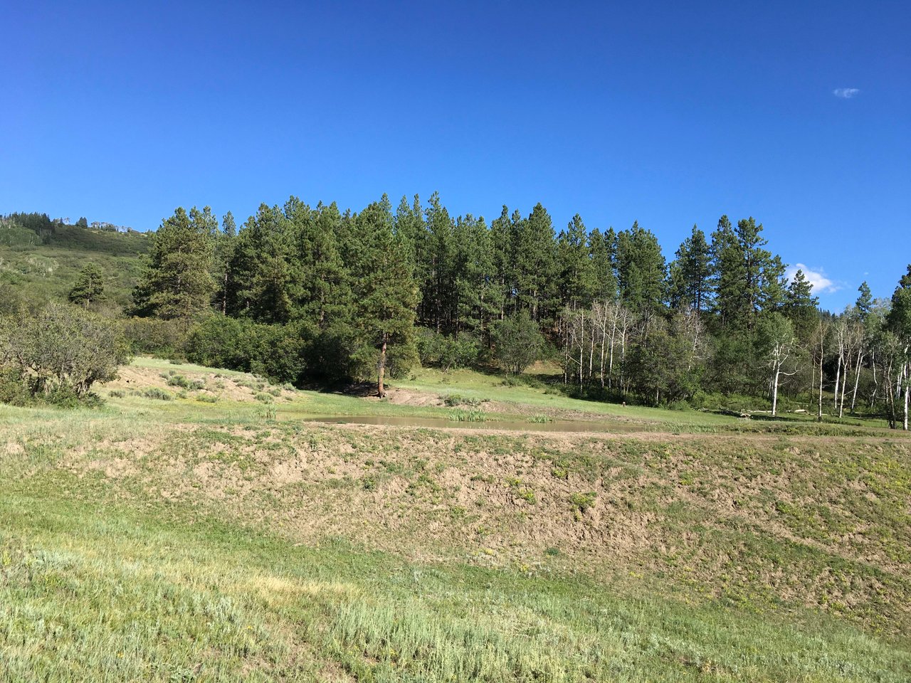 Southern Colorado Riverfront Mountain Ranch