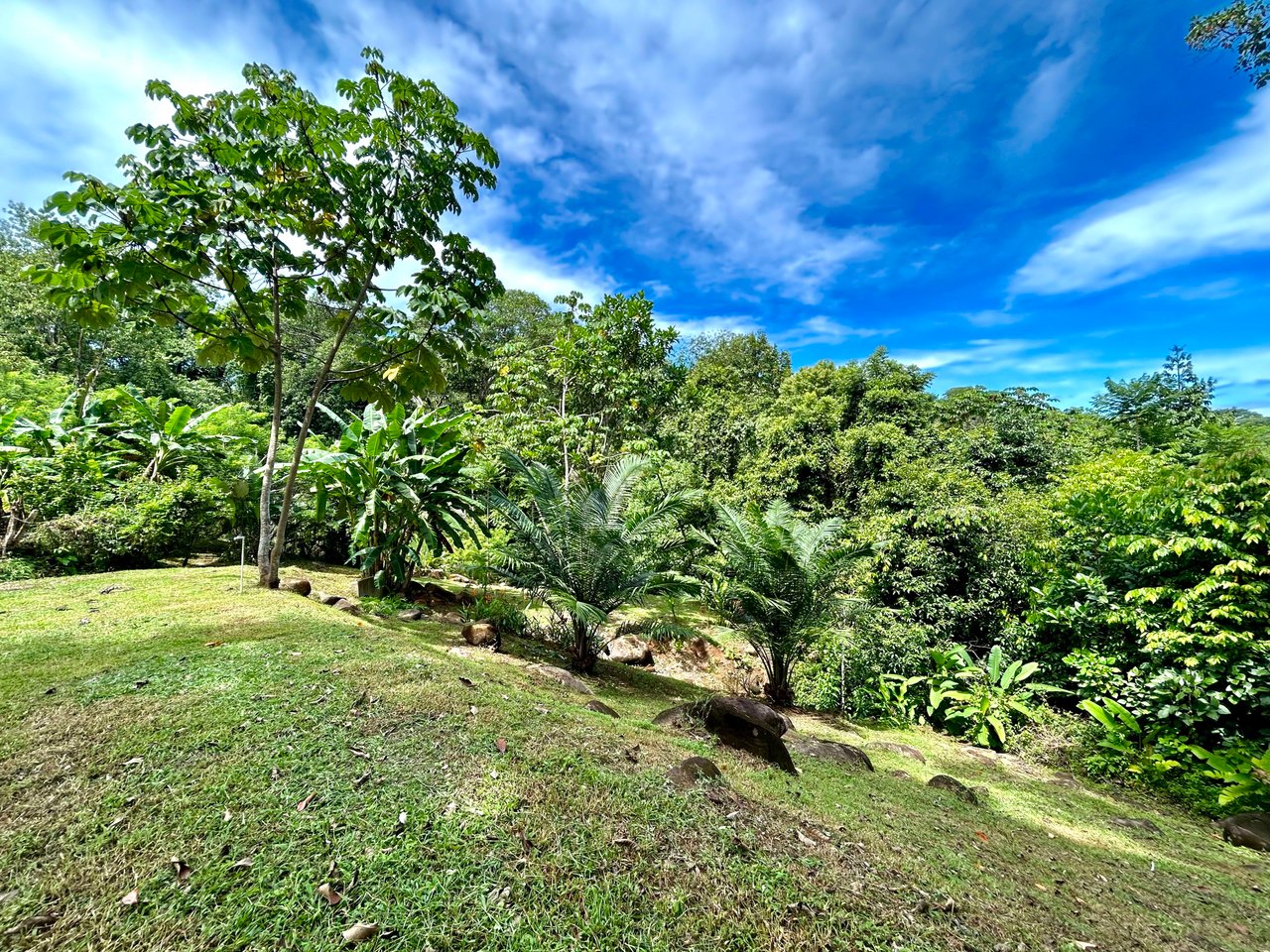 Secret Paradise Property in Altos de la Colonia