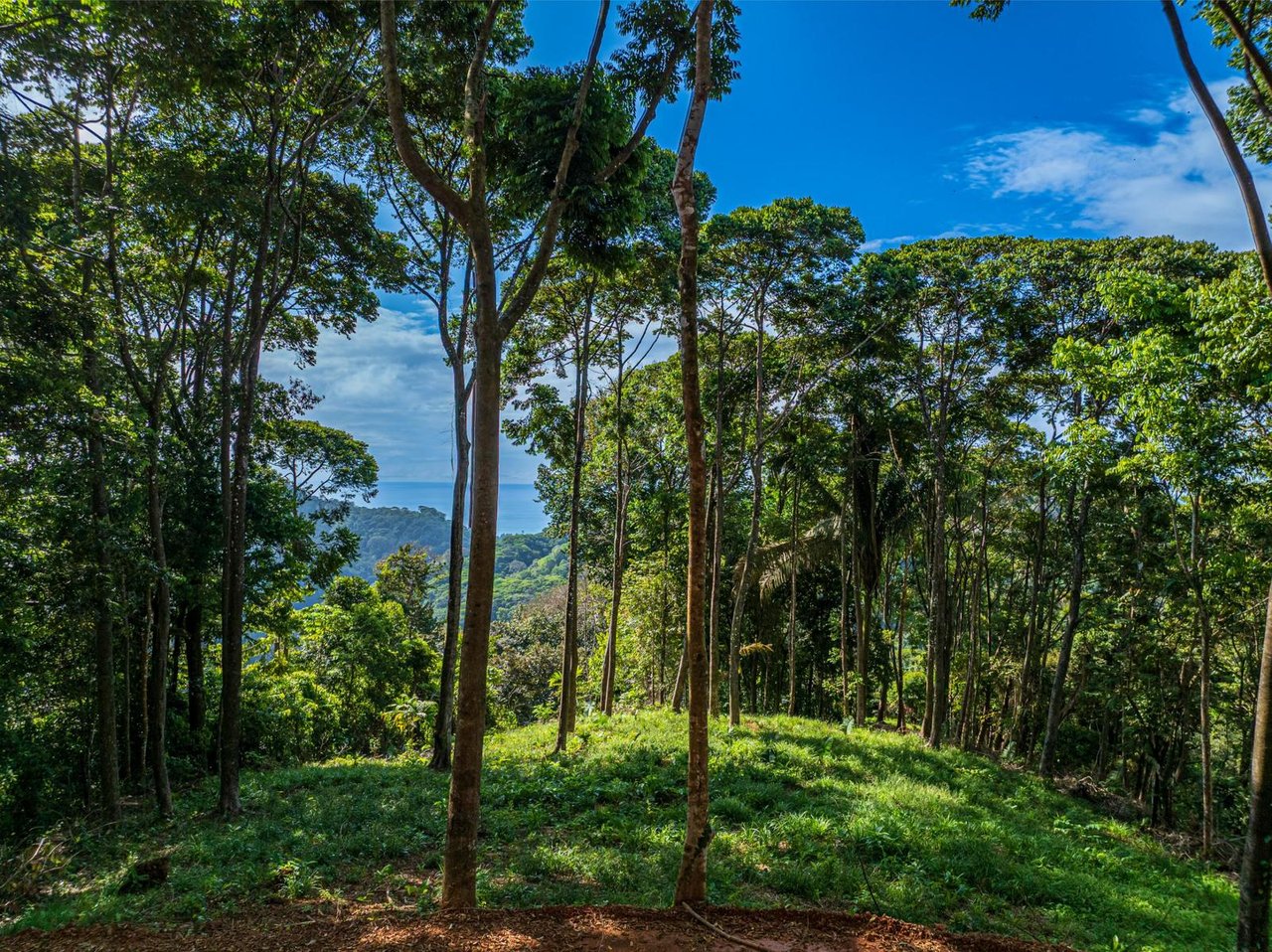 Private Ocean View Development Lot, Dominical, Puntarenas