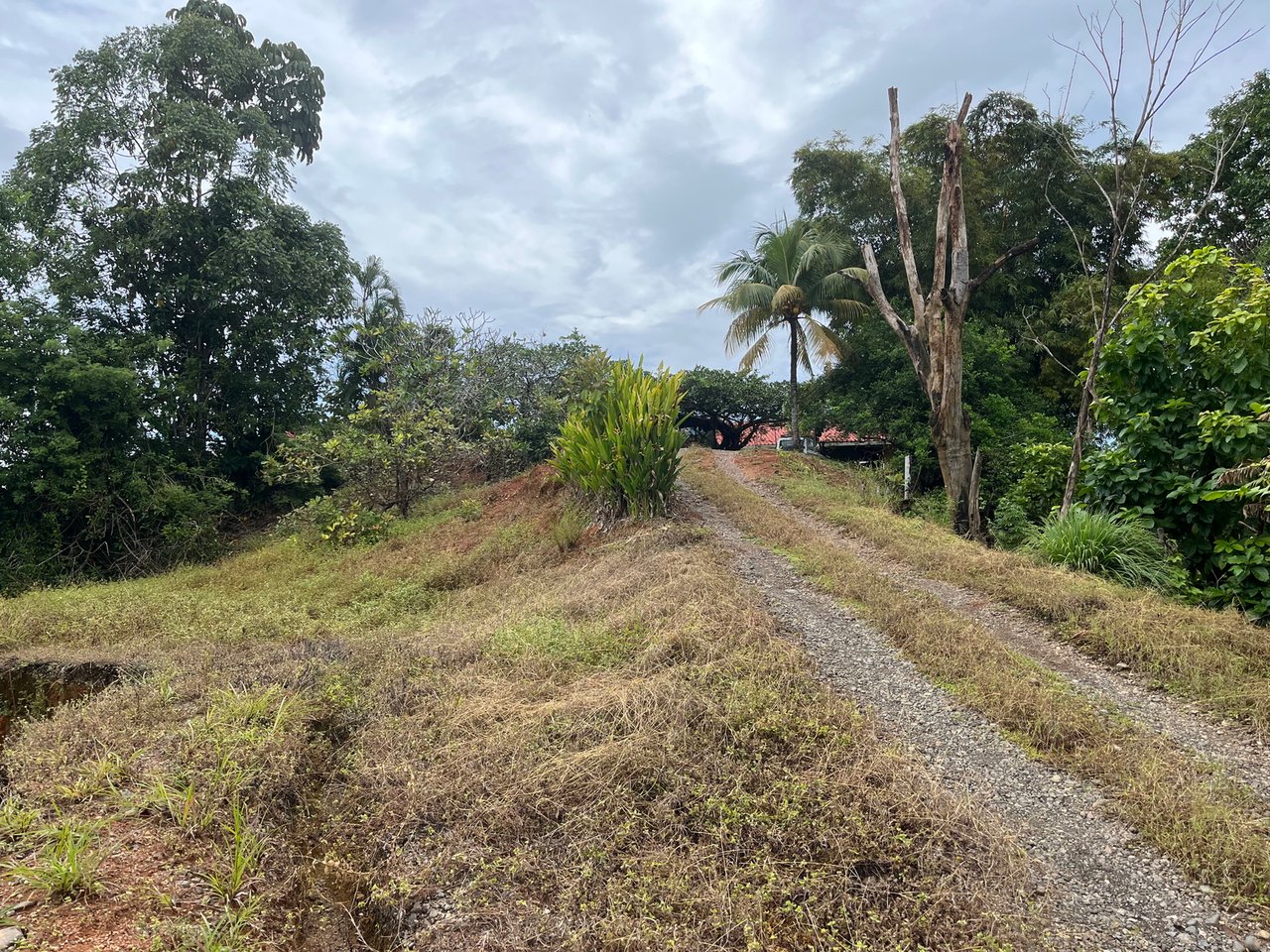 Private Ocean View Lot, Osa, Puntarenas