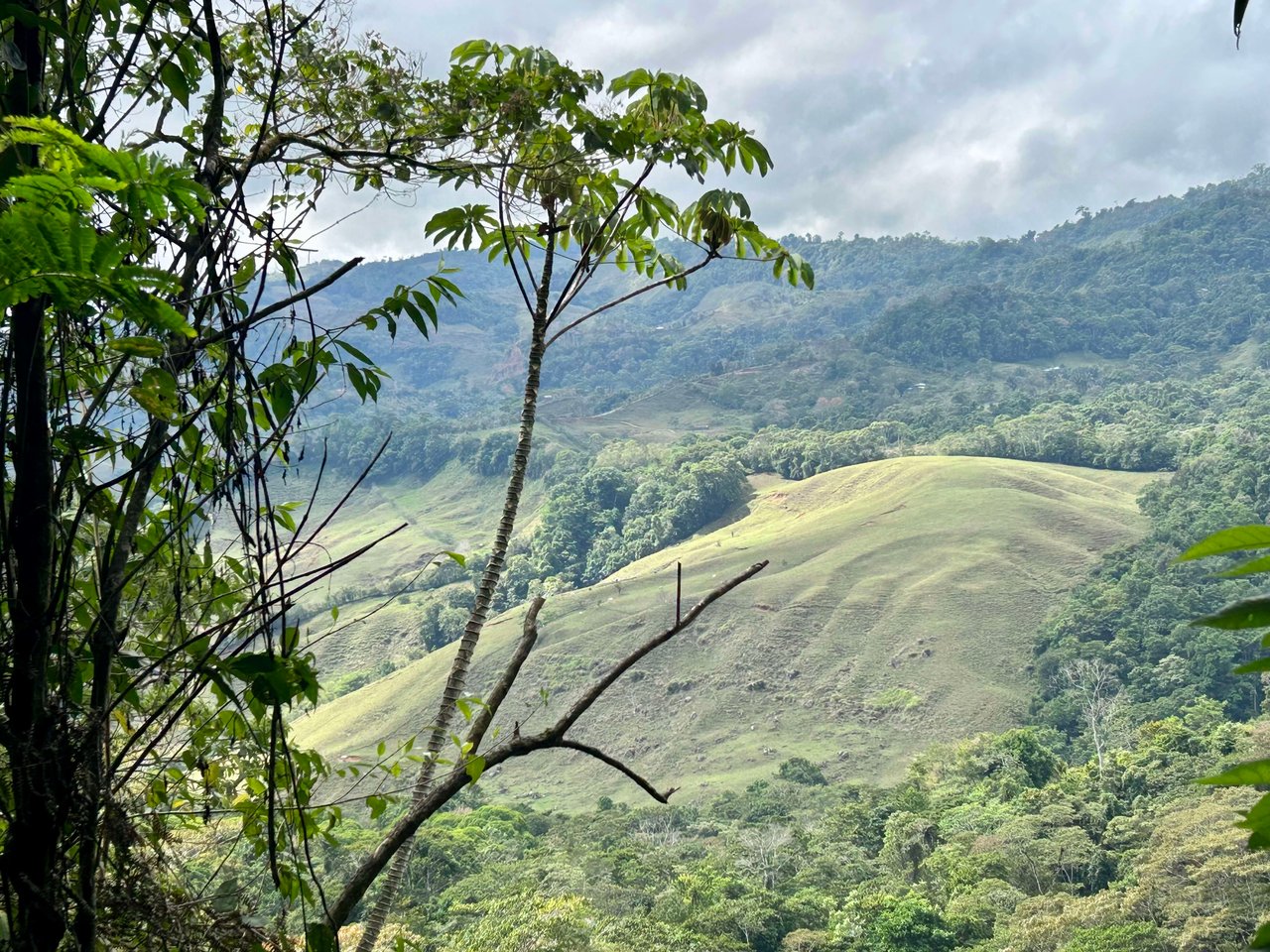 Hidden Gem: Serene Farm Retreat with Majestic Views in Costa Rica