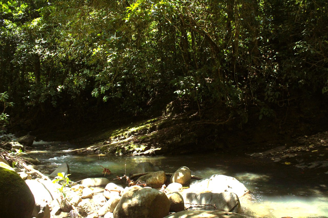 Wildlife Reserve Farm close to Ojochal