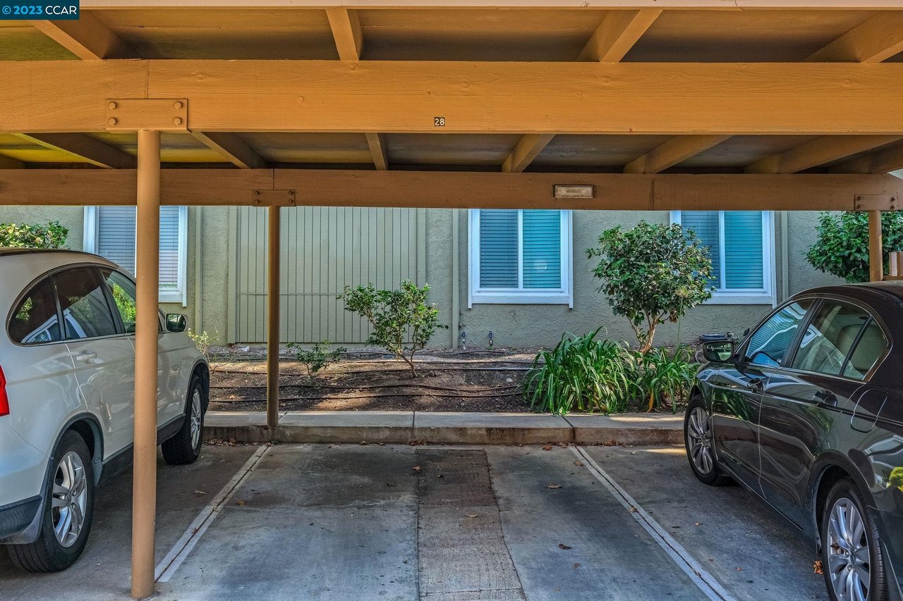 3051 Treat Blvd #55
