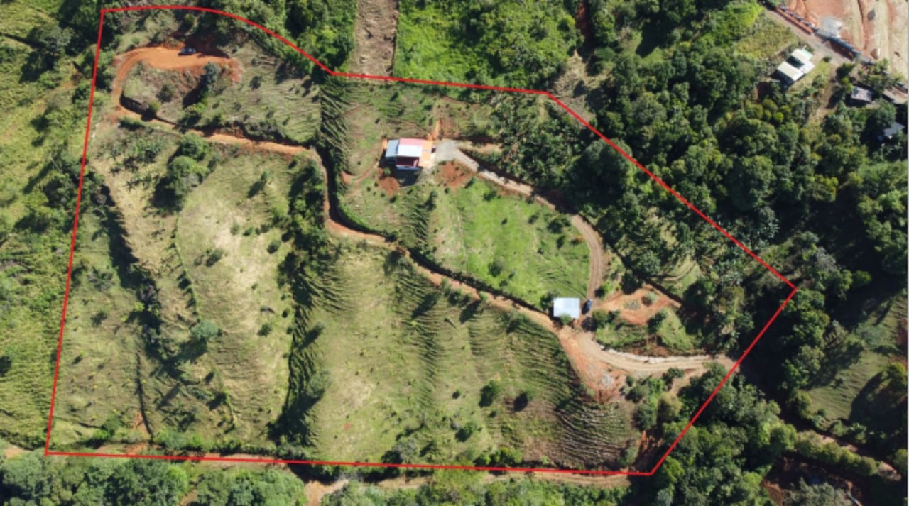 Sustainable Organic Farmstead, Perez Zeledon, San Jose
