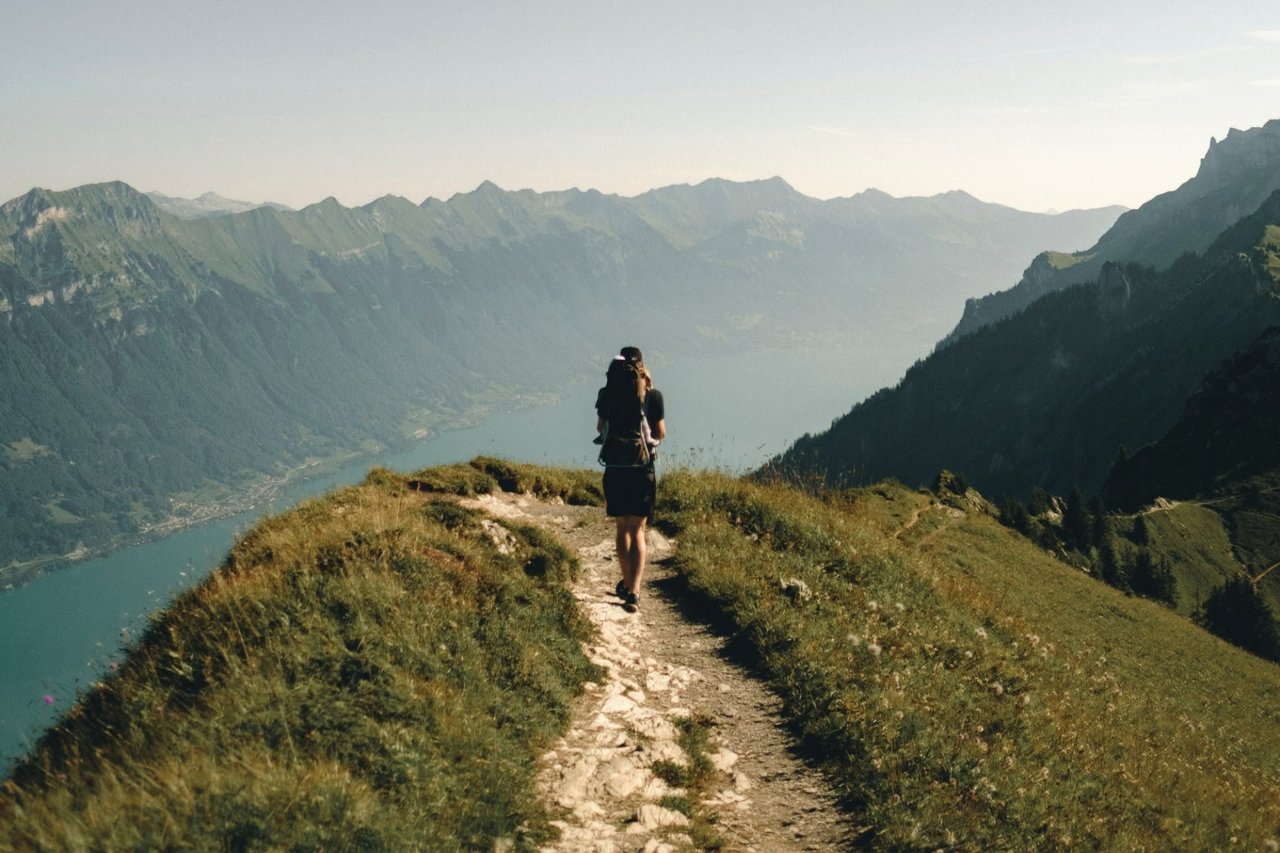 11 Best Hikes Near Chestnut Hill