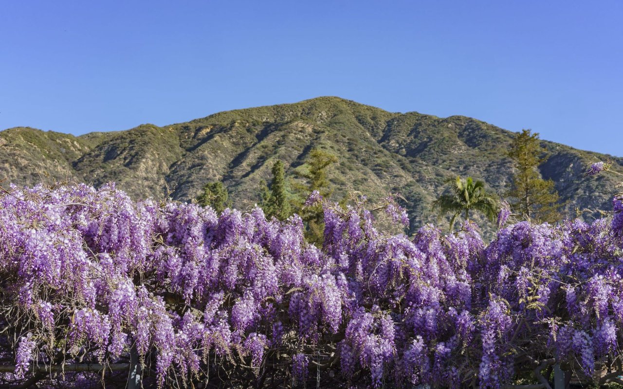 Sierra Madre