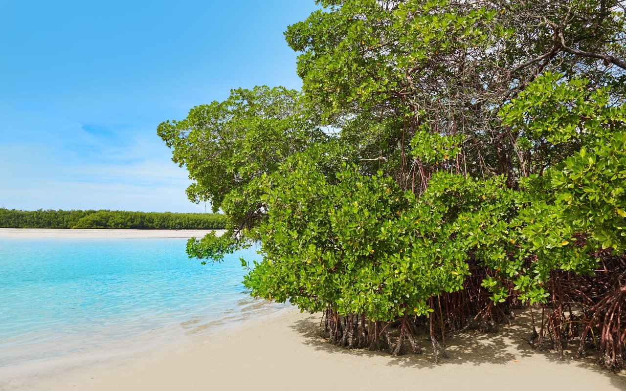 Bonita Bay - Bonita