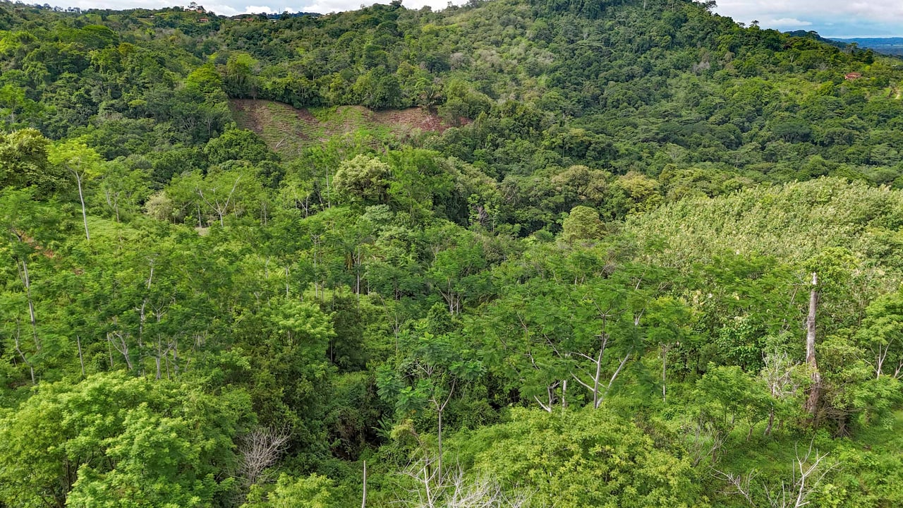 177 acre Ocean view property with multiple plantels, unspoiled mountain, jungle, river and waterfall areas