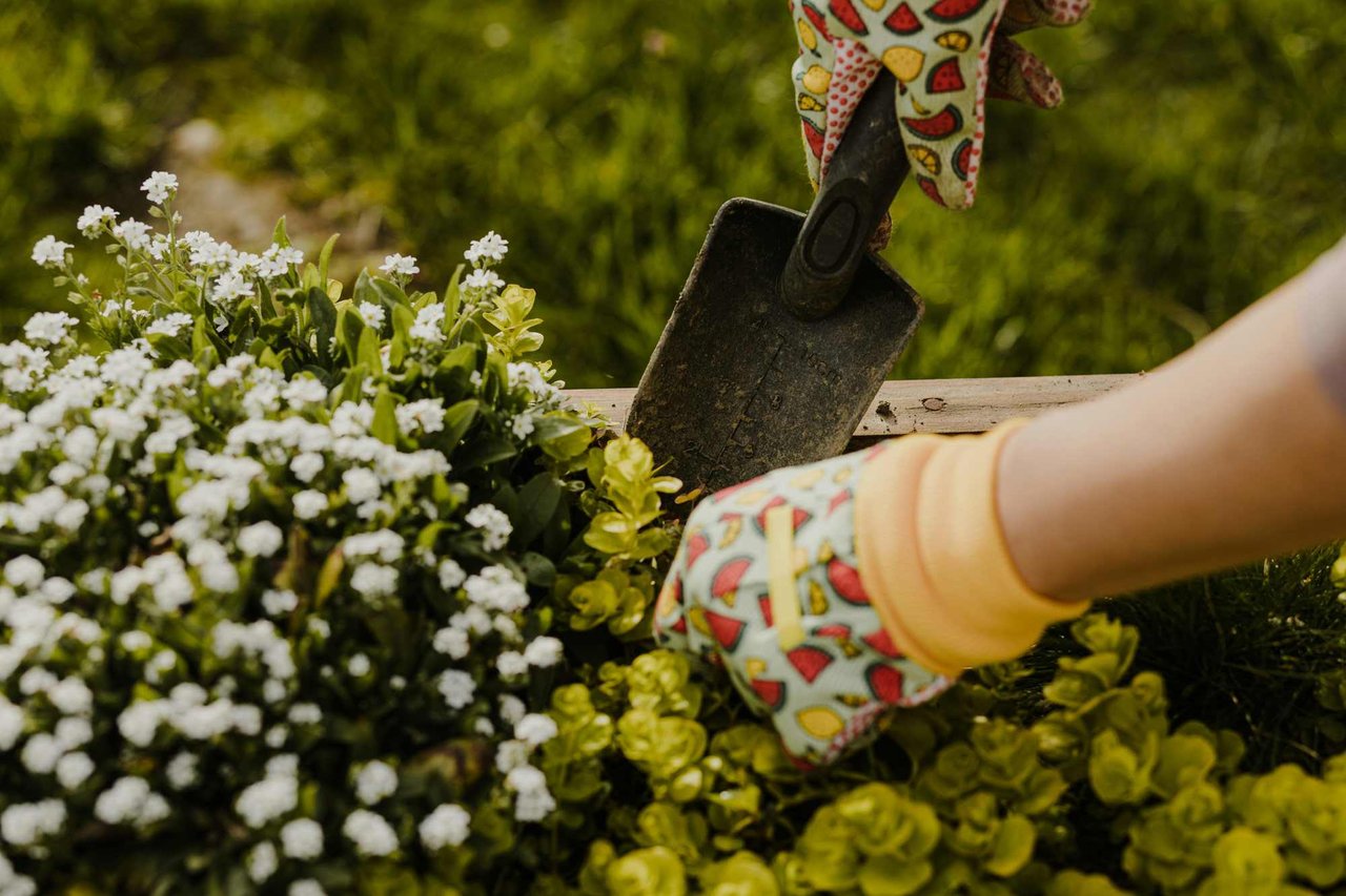 Garden Tips - Fall/Winter - Colorado