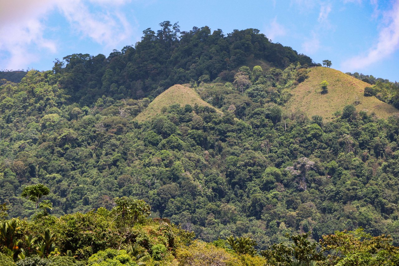 An elevated, prepared river lot with 360-degree ocean, mountain, valley and jungle views