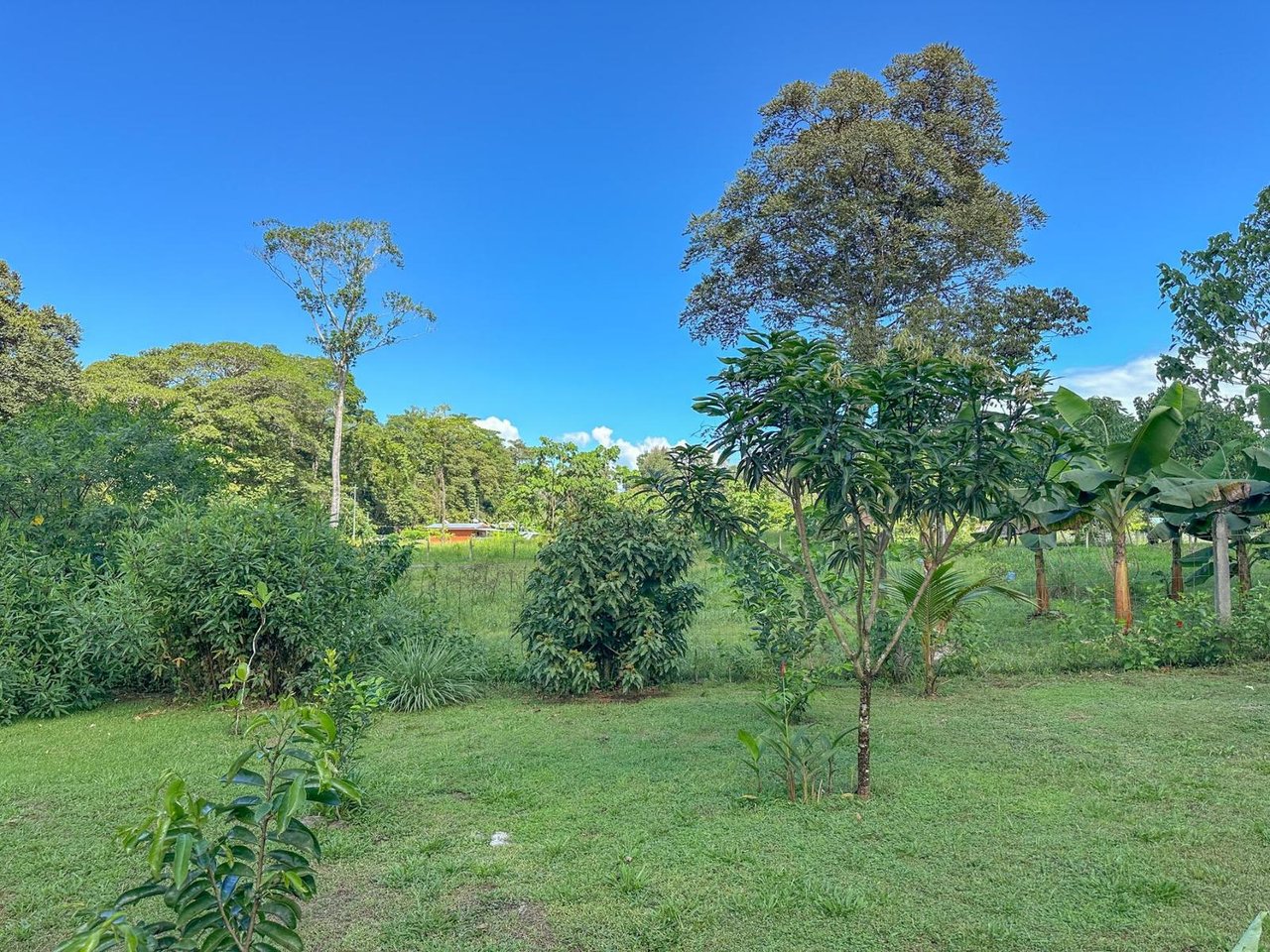 Modern Tropical Garden Residence, Osa, Puntarenas