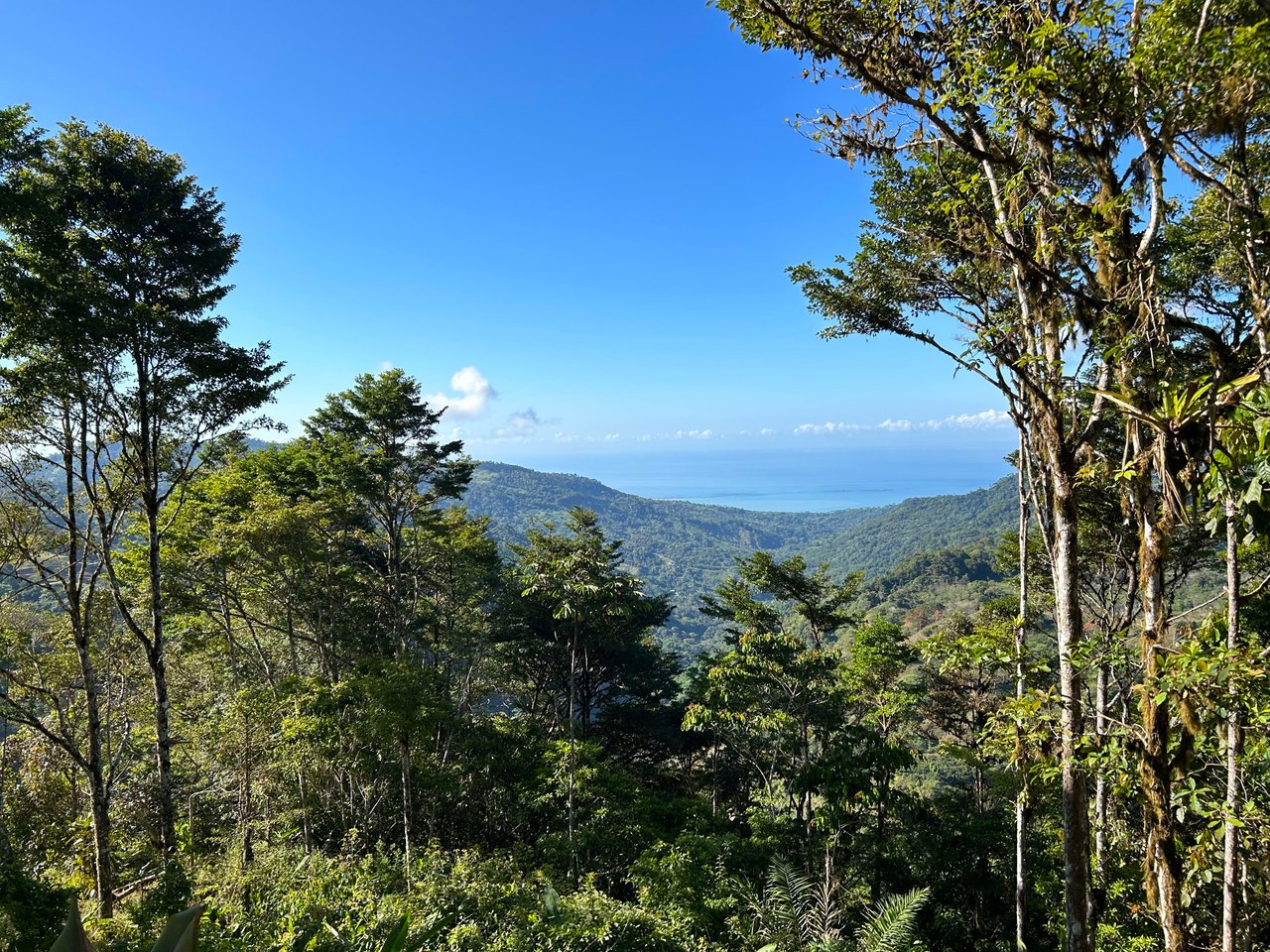 Whale Tail, Ocean & Mountain View lot in San Luis.